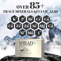 Comprimés de Shilajit Pur Naturel de l'Himalaya OEM, Riches en Acide Fulvique et Oligo-éléments, Boîte de 60 Comprimés en Vrac, Supplément Minéral en Boîte en Carton
