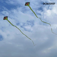 Serpent volant coloré pour enfants, tenture en plein air, gros chaton, avec jeu de ficelle, vente en gros