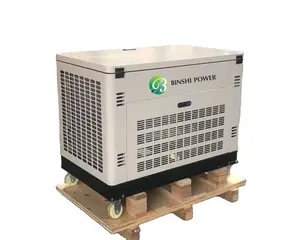 15KW 20KW Dual Fuel Portable Generator Silent Type LPG Natural Gas Biogas Gasoline Generator Set