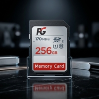 Carte SD 256 Go Classe 10 V30 Grande Capacité Qualité Industrielle Vente Directe Usine pour Appareil Photo/GPS/Téléphone
