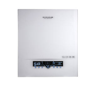 Nồi hơi Combi điện để sưởi ấm và tắm sản phẩm Lò sưởi điện - Product Image 2