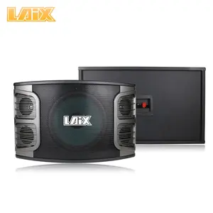 Laix LX-K19 10 Zoll Pro Sound Equipment Karaoke 2019 Neuer Artikel Voll frequenz Club Stereo Sound KTV Heimkino PA/DJ Lautsprecher