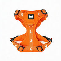 Sunraymascota, fabricant OEM de harnais pour animaux de compagnie, harnais pour animaux de compagnie en néoprène respirant, vente en gros de harnais pour chiens, ensemble de harnais pour chiens de luxe, ensemble de laisse et collier pour chien