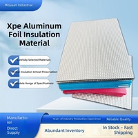 Panneau d'isolation XPE ignifuge, résistant à la chaleur, imperméable et stable en température pour toiture Shanghai