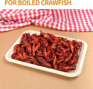 Plateaux alimentaires carrés jetables extra larges <span class=keywords><strong>de</strong></span> 14 pouces, robustes, pour écrevisses, homards, desserts, <span class=keywords><strong>fruits</strong></span> <span class=keywords><strong>de</strong></span> <span class=keywords><strong>mer</strong></span>, grillades et fêtes - Product Image 4