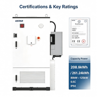 Kabinet Penyimpanan Energi Baterai LiFePO4 20-50kW 208kWh All in One Pendingin Cair Luar Ruangan C&I Microgrid