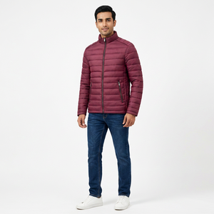 Custom Logo Collared Men's Winter Puffer Jacket Canvas Plain Dyed Breathable Quick Dry High Street Style - Product Image 1