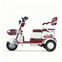 Tricycle électrique à 3 roues, scooter de mobilité avec siège enfant pliable et boîte de rangement, absorption des chocs, meilleur auto-rickshaw électrique
