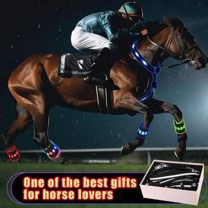 Conjunto de Arnés y Correa para Patas de Caballo con Luces LED, Recargable por USB, Ajustable, Equipo de Seguridad, Arnés de Caballo con Luces LED para Mayor Visibilidad y Seguridad - Product Image 2