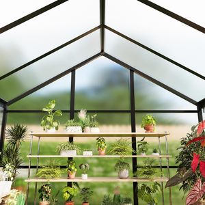 GarveeTech 6X10 Ft Polycarbonate Greenhouse Aluminum <b>Frame</b> Lockable Door Outdoor Garden Sunroom For <b>Plants</b> Vegetables Herbs - Product Image 6