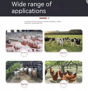 สัตว์, ไก่, หมู, แกะ, แพะ, เครื่องผลิตอาหารด้วยตนเอง, เครื่องบดข้าวโพด, เครื่องบดเมล็ดพืชคุณภาพสูง - Product Image 6