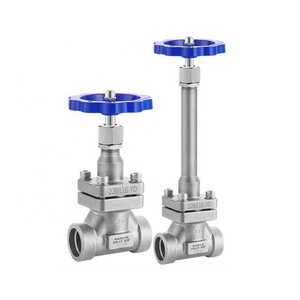 Clapet de retenue cryogénique DN50 en acier inoxydable pour oxygène, azote, dioxyde de carbone et GPL à très basse température - Product Image 3