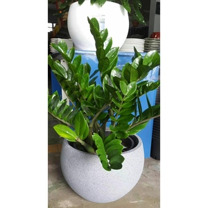 <span class=keywords><strong>Fioriera</strong></span> per alberi e fiori <span class=keywords><strong>in</strong></span> <span class=keywords><strong>cemento</strong></span> tondo per esterni all'ingrosso su misura <span class=keywords><strong>in</strong></span> fabbrica - Product Image 3