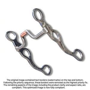 SMART SMYTH INTL Mors de pâturage western gravé en acier inoxydable avec rouleau en laiton pour l'équitation - Product Image 1