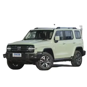 GWN TANK 300 Car 2.0T 4WD SUV 2024 Edição da cidade Carros Híbridos a Gasolina Changcheng Grande Muralha Tanque 500 Fornecedores Automotivos