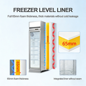 <span class=keywords><strong>Refrigerador</strong></span> Vertical Comercial de Alta Calidad con <span class=keywords><strong>2</strong></span> <span class=keywords><strong>Puertas</strong></span> para Alimentos Congelados, Helados y Congelados - Product Image 2