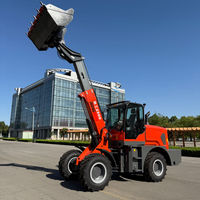 Chargeuse sur pneus télescopique RG2500 de fabrication chinoise, capacité nominale de 2,2 tonnes, moteur diesel, chargeuse articulée pour travaux agricoles et de construction