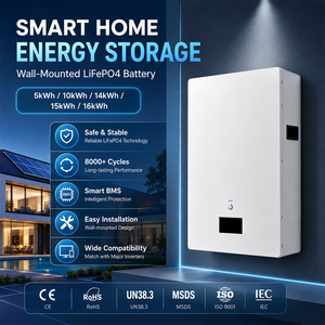 แบตเตอรี่ LiFePO4 แบบติดผนังขั้นสูง 5KWH 10KWH 15KWH 16KWH สำหรับเก็บพลังงานแสงอาทิตย์ภายในบ้านแบบโมดูลาร์ - Product Image 1