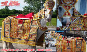 Conjunto de Disfraces Decorativos de Caballo Indio para Novio, 7 Piezas, Terciopelo Ligero, Decoraciones para Bodas Hindúes, Baraat, Fabricantes Indios - Product Image 3