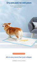 Vente en gros usine OEM de tapis absorbants jetables imperméables pour l'apprentissage de la propreté des chiots et des animaux de compagnie
