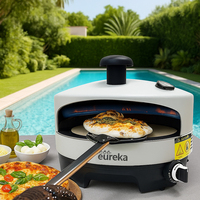 Four à pizza au gaz portable en acier inoxydable avec revêtement en poudre de 16 pouces pour usage domestique