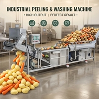 Commerciële Automatische Elektrische Groente Schoonmaak Wasmachine Pinda Wassen Aardappel Trommel Wasmachine