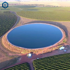 <span class=keywords><strong>HDPE</strong></span> LDPE LLDPE <span class=keywords><strong>geomembrane</strong></span> Pond <span class=keywords><strong>Liner</strong></span> cho aquacultuel chống UV cho nuôi tôm trang trại AO ngoài trời 1mm <span class=keywords><strong>HDPE</strong></span> <span class=keywords><strong>geomembrane</strong></span> - Product Image 2