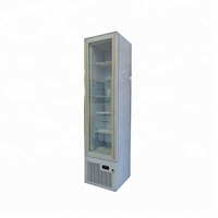Mode Chine Congélateur Frizer SingleTemperature Congélateur Coffre Avec Verre Top SingleTemperature 60 Degrés Congélateur
