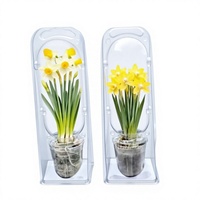 Barquettes en plastique transparentes écologiques personnalisées pour plantes, en PVC, PET, PS, pour le transport de graines, légumes et fleurs