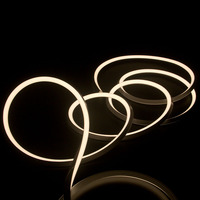 Iluminación de Neón 3D con Efecto Dimensional y Brillo de Doble Plano, Superficie Superior y Laterales que Maximizan el Impacto Visual