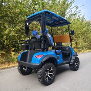 Carrito de Golf <span class=keywords><strong>El</strong></span>éctrico de 2 Plazas con Batería de Litio, Certificado por DOT, para Campos de Golf y Vecinados - Product Image 3