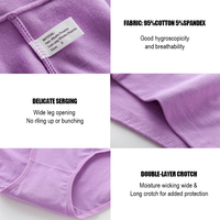 Culottes Personnalisées OEM/ODM 2026 Taille Haute Grande Taille Sous-Vêtements en Coton pour Femmes