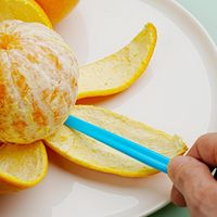 Nouvel éplucheur manuel en plastique pour agrumes et oranges, avec conception à ouverture facile, couleur néon vif – Outil de cuisine pour fruits et légumes