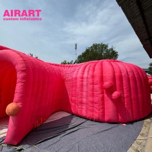 <span class=keywords><strong>Tunnel</strong></span> du côlon à enroulement extra long et gonflable <span class=keywords><strong>pour</strong></span> l'activité biomédicale, modèle gonflable de structure du corps humain <span class=keywords><strong>pour</strong></span> la publicité extérieure - Product Image 4