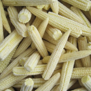 Verduras al vapor de maíz de bebé fresco de congelación rápida de calidad superior IQF para el mercado global gourmet - Product Image 2