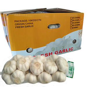 1 bag torba X 10 10Kg karton taze sarımsak - Product Image 1