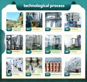Succo di sedano naturale in polvere, estratto di sedano, per uso alimentare - Product Image 4