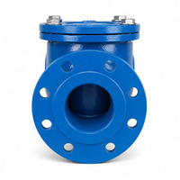 Clapet anti-retour à bride en fonte ductile PN16, type oscillant, pour pompe à eau et ligne de protection incendie