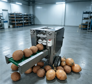 Machine industrielle électrique de décorticage de noix de coco à prix d'usine - Product Image 2