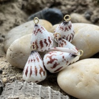 Coquillages coniques hébreux naturels d'Hawaï Conus Ebraeus Pendentif en acier inoxydable DIY Boucles d'oreilles de créateur Charmes de bijoux