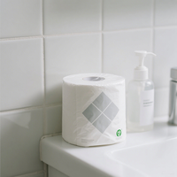 Papel Higiénico Biodegradable y Soluble, Papel Higiénico Virgen Reciclado, Rollo de Papel Higiénico de 500 Hojas, de Doble Capa, Seguro y de Rápida Disolución