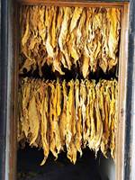 Commerciële gedroogde gember kruiden noedel ontvochtiger fruit vis dehydrator warmtepomp tabaksbladeren droger thee chip droogmachine