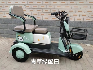 Bicicletas y Triciclos Eléctricos Inteligentes para Adultos con Marco de Acero de 600W, Capacidad de 300-500kg, 3 Velocidades y Cambios Digitales - Product Image 6