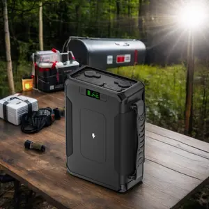 300Wh 100000mAh Lifepo4 Outdoor Power Station Emergency Backup for Disaster Hurricanes Outdoor Activities Power Bank 12V 24V