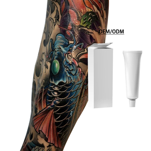 2025 Innovadora crema de tatuaje Pro-tinta de Color vibrante y plantillas de arte corporal para PMU Studios lápiz de cejas tinta tatuaje pluma mapeo - Product Image 5