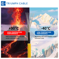 XLPE Photovoltaik-Kabel TÜV 2 PFG 1169 Solarkabel 4mm 6mm² 10mm 16mm 25mm Rot und Schwarz DC Solar-Ladekabel für Energiesysteme