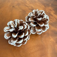 UMIN Kerucut Pinus Alami Berlapis Salju 5-6cm 6Pcs/Kantong Ornamen Kering Rustic untuk Kerajinan DIY Pengisi Karangan Bunga Gantung Natal