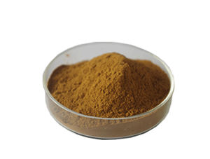 Estratto di <span class=keywords><strong>Malva</strong></span> Verticillata L. 10:1 da Semi di <span class=keywords><strong>Malva</strong></span> Verticillata - Product Image 4