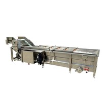 Goede prestatie verse fruit mango appel reinigingsmachine luchtbel groentewasmachine productielijn