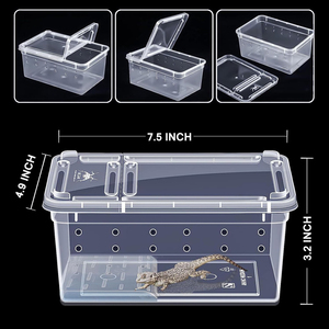 Kit de capture d'insectes pour enfants Little Live Pets : Ferme à fourmis, piège à crapauds, habitat pour grenouilles, terrarium pour tortues et reptiles - Product Image 6
